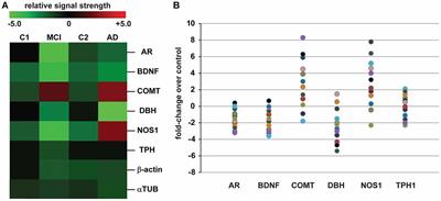 Genetics of Aggression in Alzheimer’s Disease (AD)